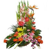 集美鲜花速递